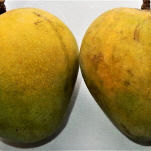 Mango Hortex It is also known as himsagar oil. mango hortex